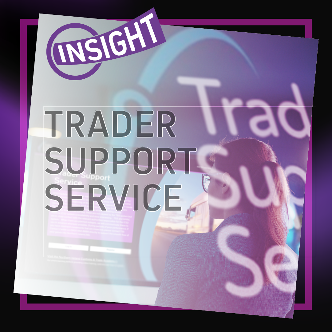 Using the Trader Support Service for GB-NI Movements: What Businesses Get Wrong